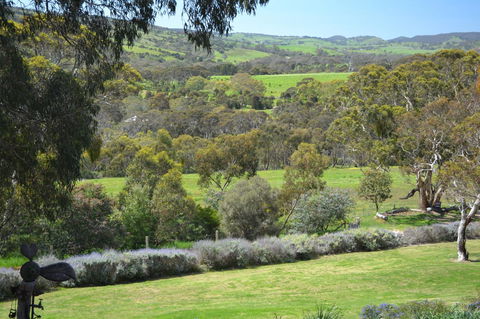 Cabernet Cottage - Accommodation Tasmania 10
