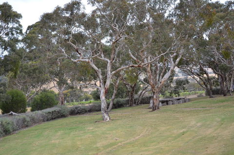 Cabernet Cottage - Accommodation Tasmania 8
