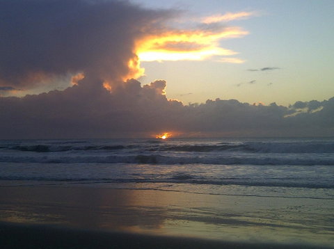 Byron Bay Guest - Accommodation Tasmania 1