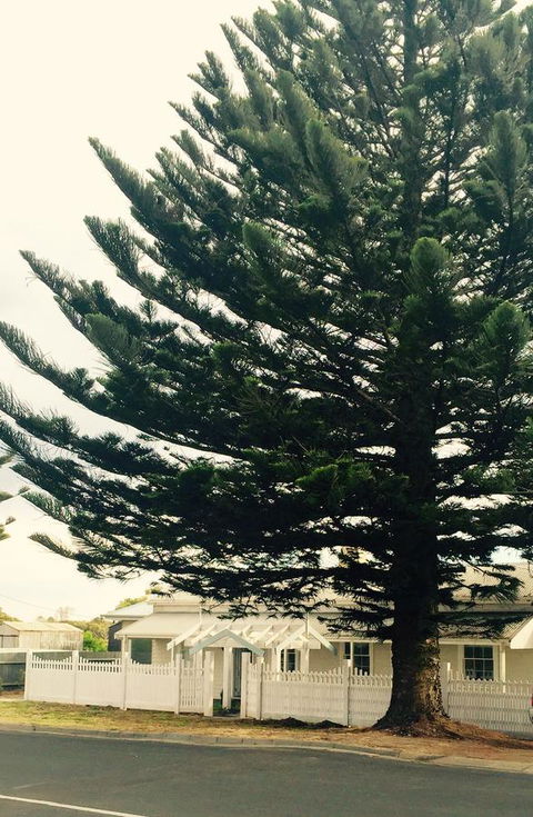 Railway Cottage In Beachport - Accommodation Tasmania 13