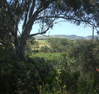 Archery Road Estate - Accommodation Tasmania