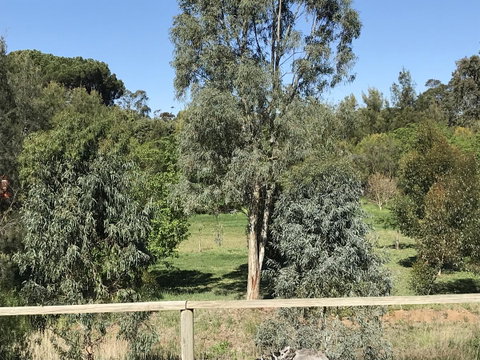 Adagio In Auburn - Accommodation Tasmania 25
