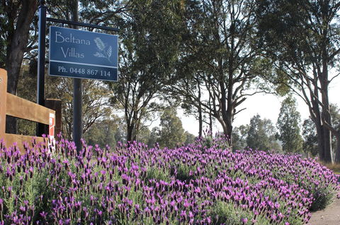 Beltana Villas - Accommodation Tasmania 10