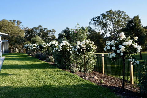 Beltana Villas - Accommodation Tasmania 2