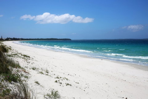 Wildwood I Pet Friendly I 5 Mins To Beach - Accommodation Tasmania 14