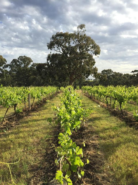 The Winemakers - Accommodation Tasmania 2