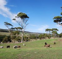 Lisieux Farm Bed and Breakfast - Accommodation Tasmania