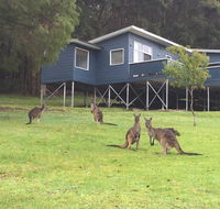Blue House Denmark - Accommodation Tasmania