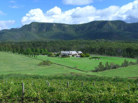 Grapevines Boutique Accommodation - Accommodation Tasmania 23