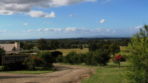 Grapevines Boutique Accommodation - Accommodation Tasmania 20