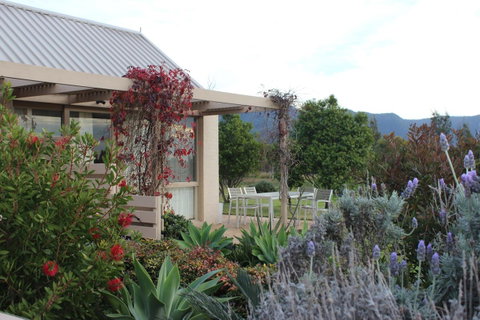 Grapevines Boutique Accommodation - Accommodation Tasmania 28