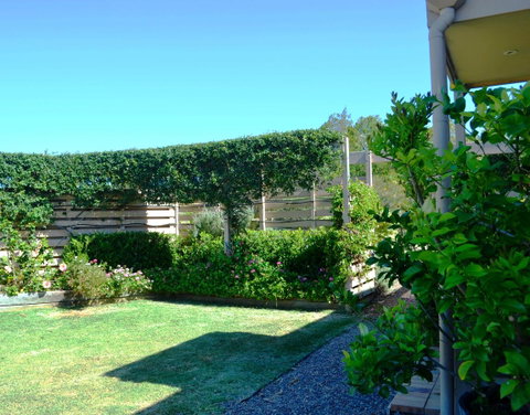 Grapevines Boutique Accommodation - Accommodation Tasmania 14