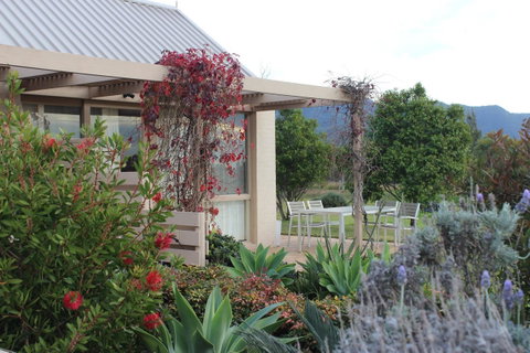 Grapevines Boutique Accommodation - Accommodation Tasmania 24