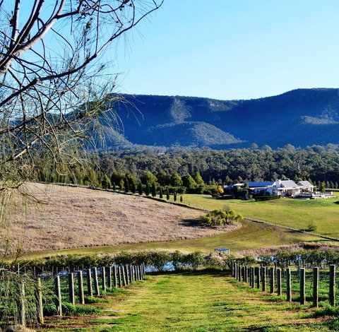 Grapevines Boutique Accommodation - Accommodation Tasmania 5