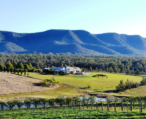 Grapevines Boutique Accommodation - Accommodation Tasmania 0