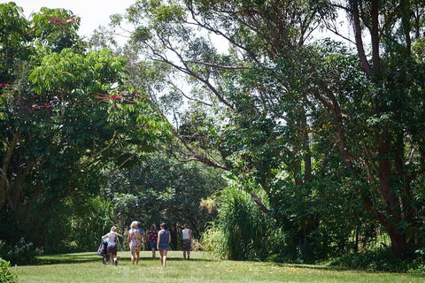Ingenia Holidays Byron Bay - Accommodation Tasmania 11