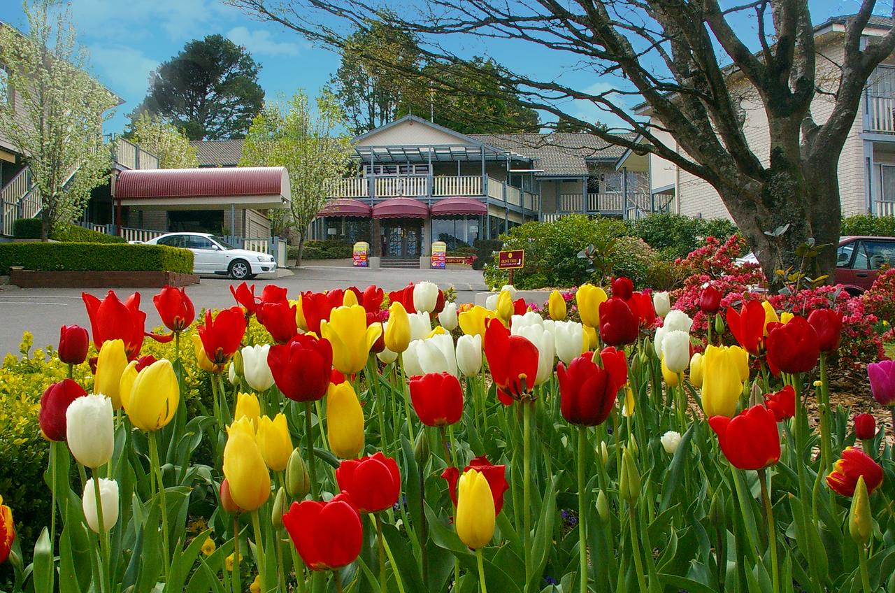  Accommodation Tasmania