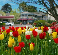 Nesuto Leura Gardens formerly Waldorf Leura Gardens Resort - Accommodation Tasmania