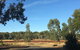 Junee Motor Inn - thumb 24
