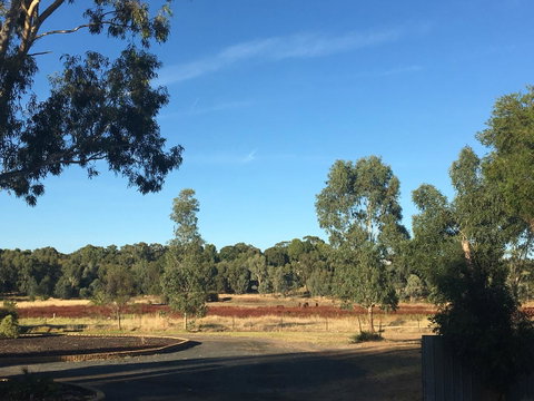 Junee Motor Inn - Accommodation Tasmania 24