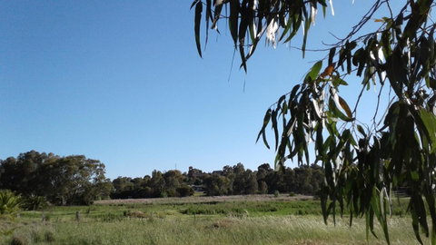 Junee Motor Inn - Accommodation Tasmania 8
