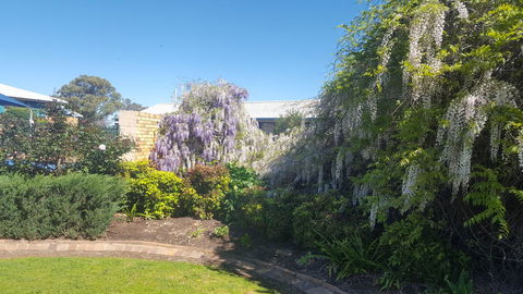 Almond Inn - Accommodation Tasmania 28