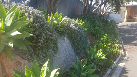 Almond Inn - Accommodation Tasmania 27
