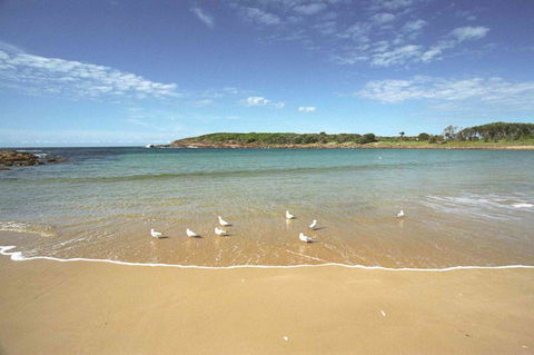 On The Beach Getaway - Accommodation Tasmania 12