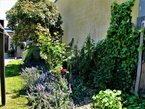 Apple Tree Cottage - Accommodation Tasmania 24