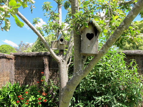 Apple Tree Cottage - Accommodation Tasmania 28