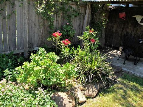 Apple Tree Cottage - Accommodation Tasmania 26
