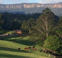 Amaroo Valley Springs - Accommodation Tasmania