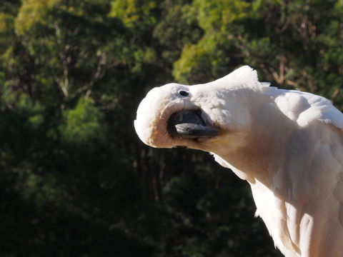 Bundle Hill Cottages - Accommodation Tasmania 1