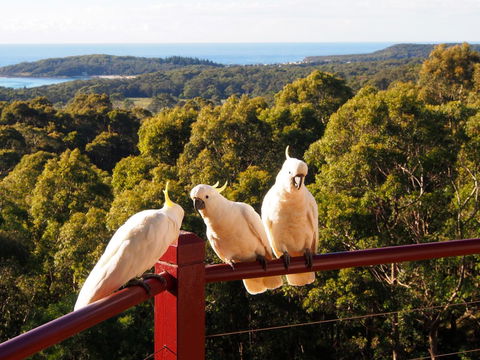 Bundle Hill Cottages - Accommodation Tasmania 2