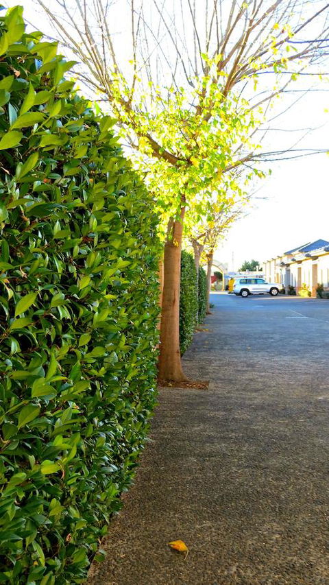 Best Western Plus Goulburn - Accommodation Tasmania 37