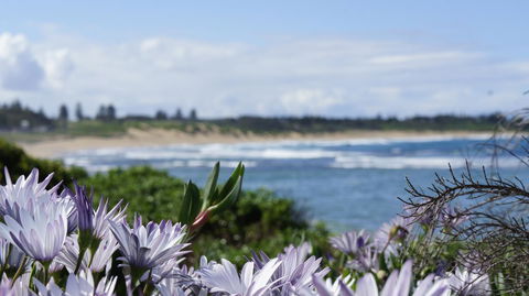 Blue Lagoon Beach Resort - Accommodation Tasmania 18