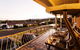 Coal D\' Vine VIEW - Cessnock NSW - thumb 24