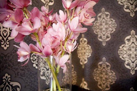 Hotel Challis Potts Point - Accommodation Tasmania 14