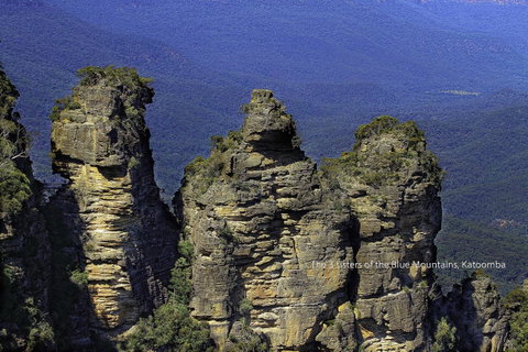 Rest Easy Motel - Accommodation Tasmania 44