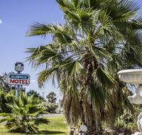 Allonville Gardens Motel - Accommodation Tasmania