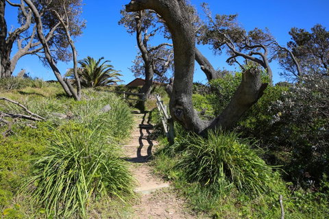 Abode @ Culburra - Pet Friendly - 4 Mins To Beach - Accommodation Tasmania 25