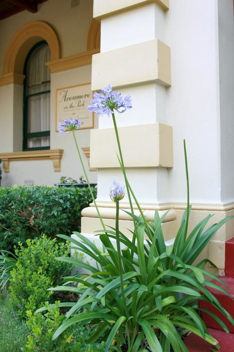 Avonmore On The Park Boutique Hotel - Accommodation Tasmania 15