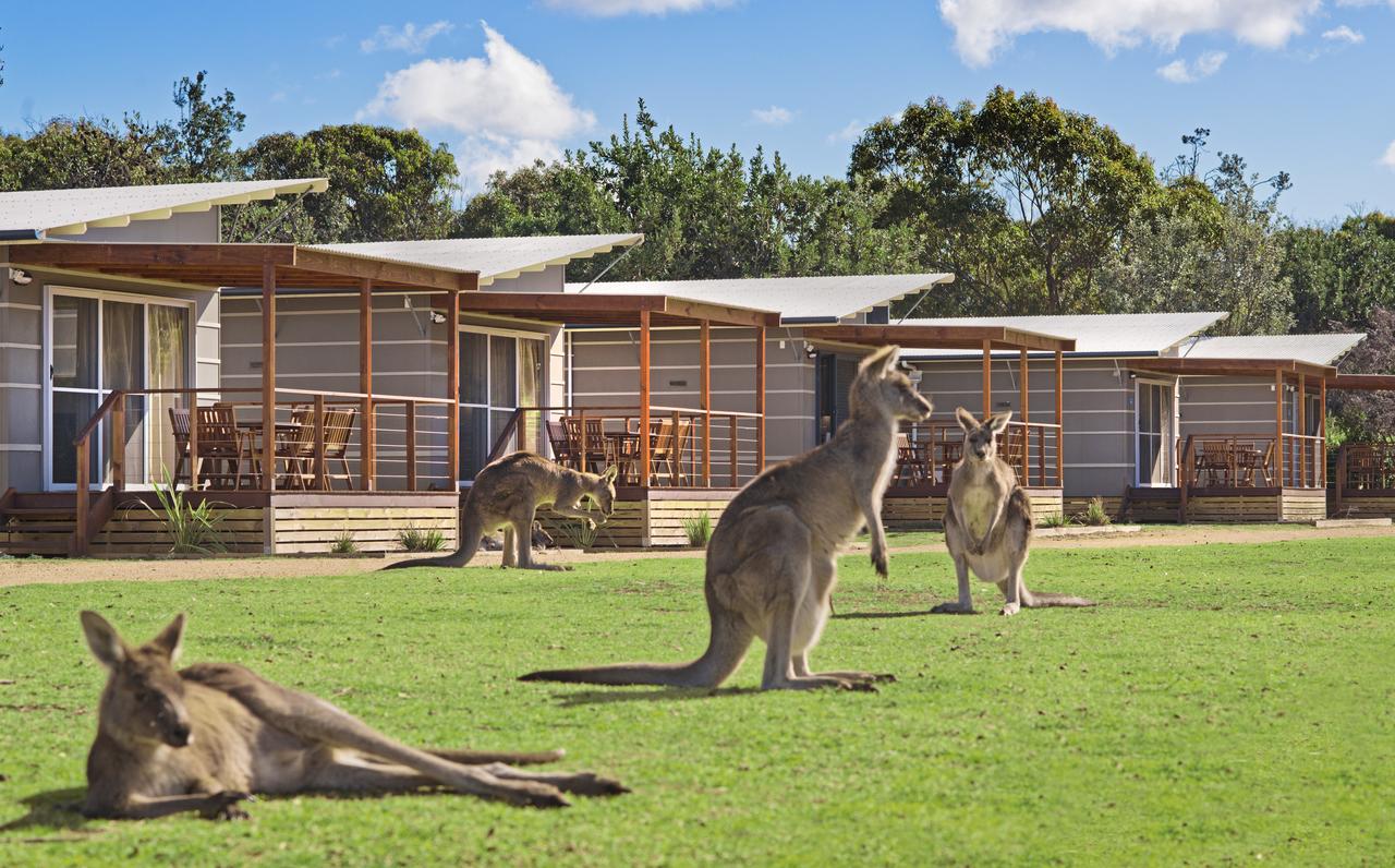 Accommodation Tasmania