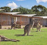 Discovery Parks  Pambula Beach - Accommodation Tasmania