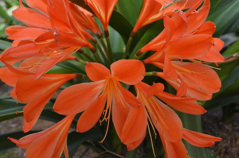 JE Guesthouse, Central To All The Hunter Valley Has To Offer - Accommodation Tasmania 39