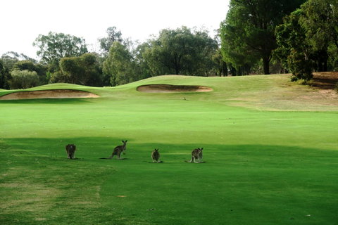 Mulwala Resort - Accommodation Tasmania 40