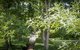 The Sebel Bowral Heritage Park - thumb 26