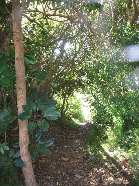 Wollongbar Motel - Accommodation Tasmania 10