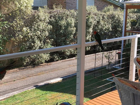 The Best Exotic Magnolia Cottage - Accommodation Tasmania 15
