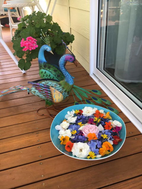 The Best Exotic Magnolia Cottage - Accommodation Tasmania 8